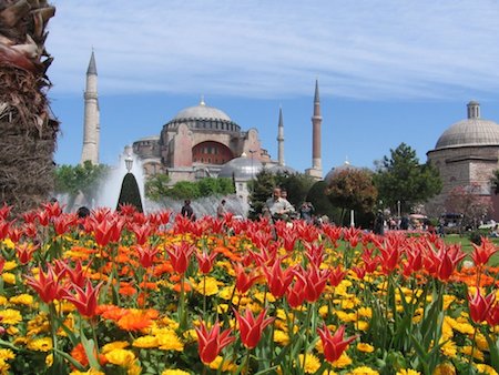 TulipsInTurkey.jpg