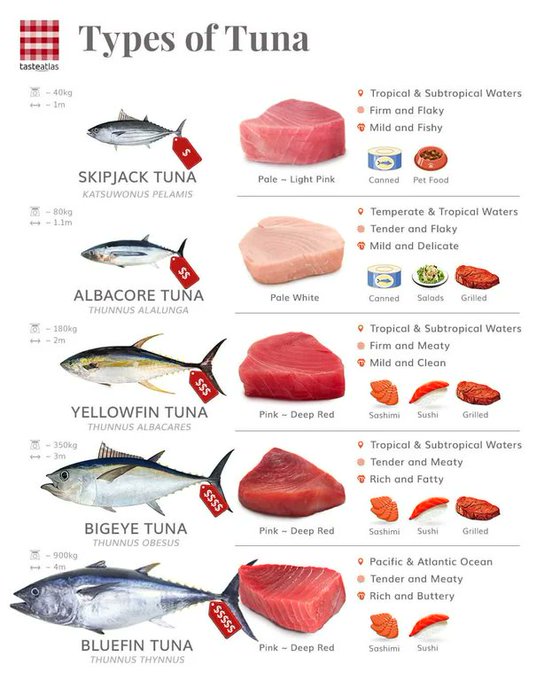 Tuna2.jfif