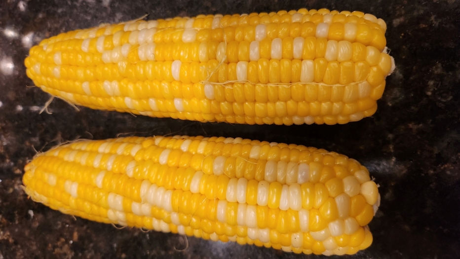 TwistedCorn25.jpg