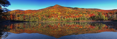 VermontFoliage.jpg