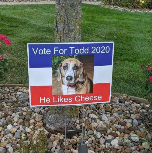 Vote-Todd.jpg