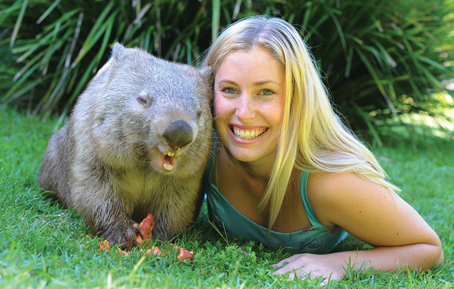 Wombat_1_660x420px.jpg