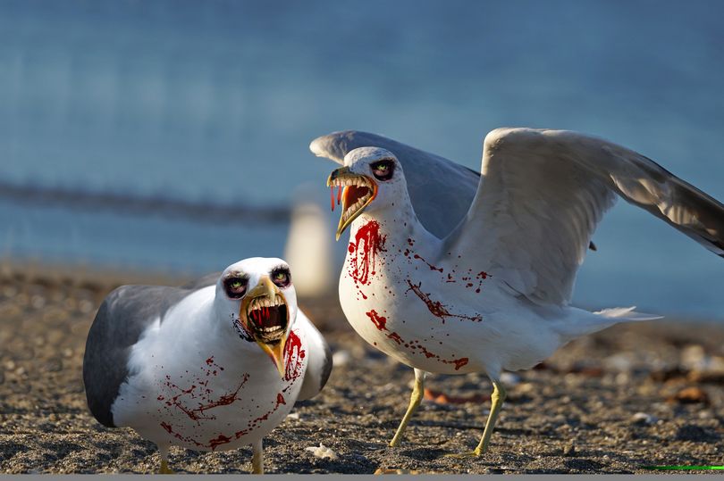 ZOMBIESEAGULLS.jpg