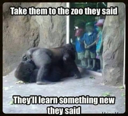 Zoo.jpg