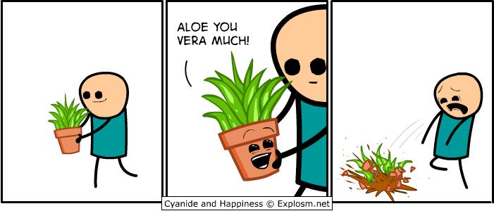 aloe.jpg