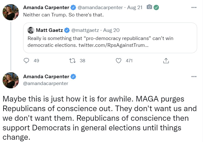 amandacarpentersupportsdemocrats.jpg