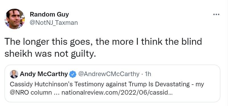 andymccarthyblindsheiknotguilty.jpg