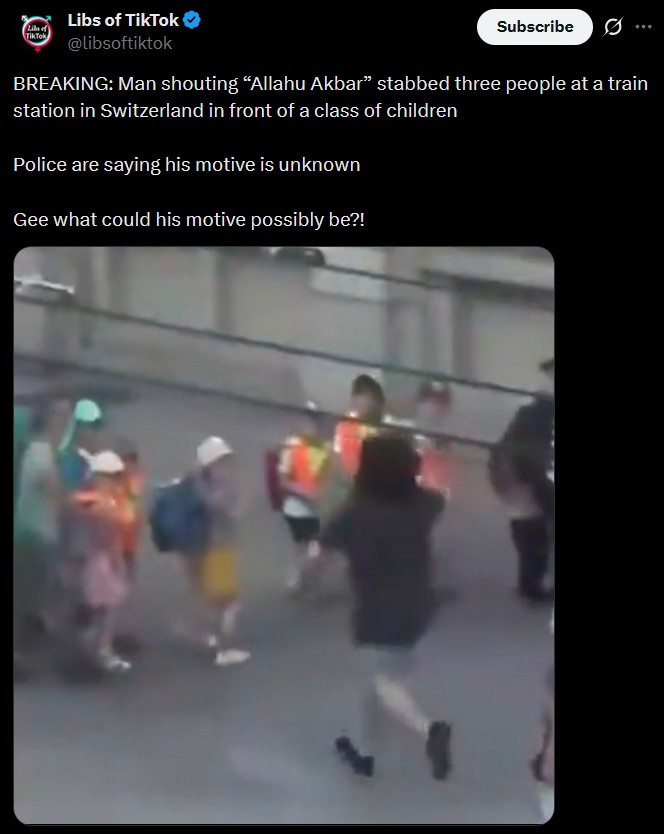 anothermuslimdisasterinswitzerland.jpg