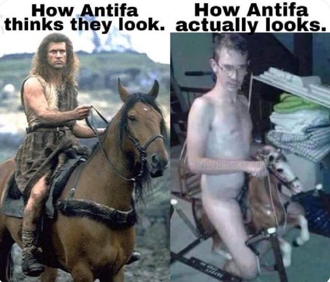 antifabravehear.jpg