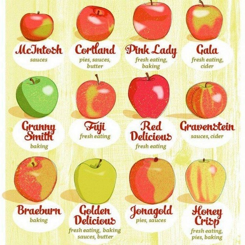appleseslist.jpg