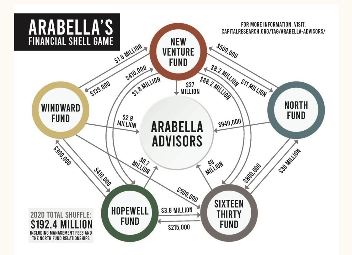 arabellaoctopus.jpg