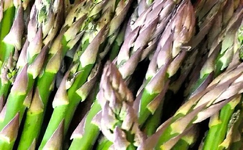 asparagus26.jpg