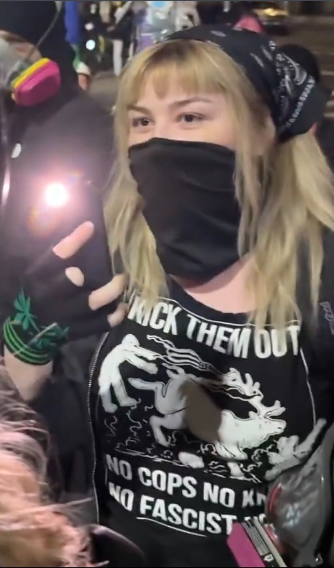 assailantflagpoleantifa.jpg