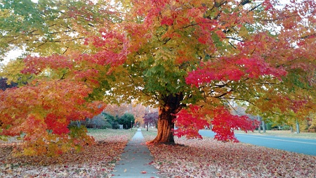 autumn-i-new-england.jpg