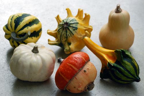 autumn_flower_arrangement_gourds.jpg