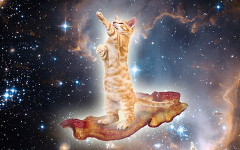 bacon-space-kitty-22180-1278510824-21.jpg