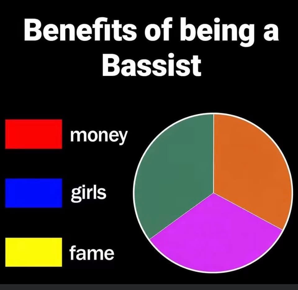 bassist.jfif