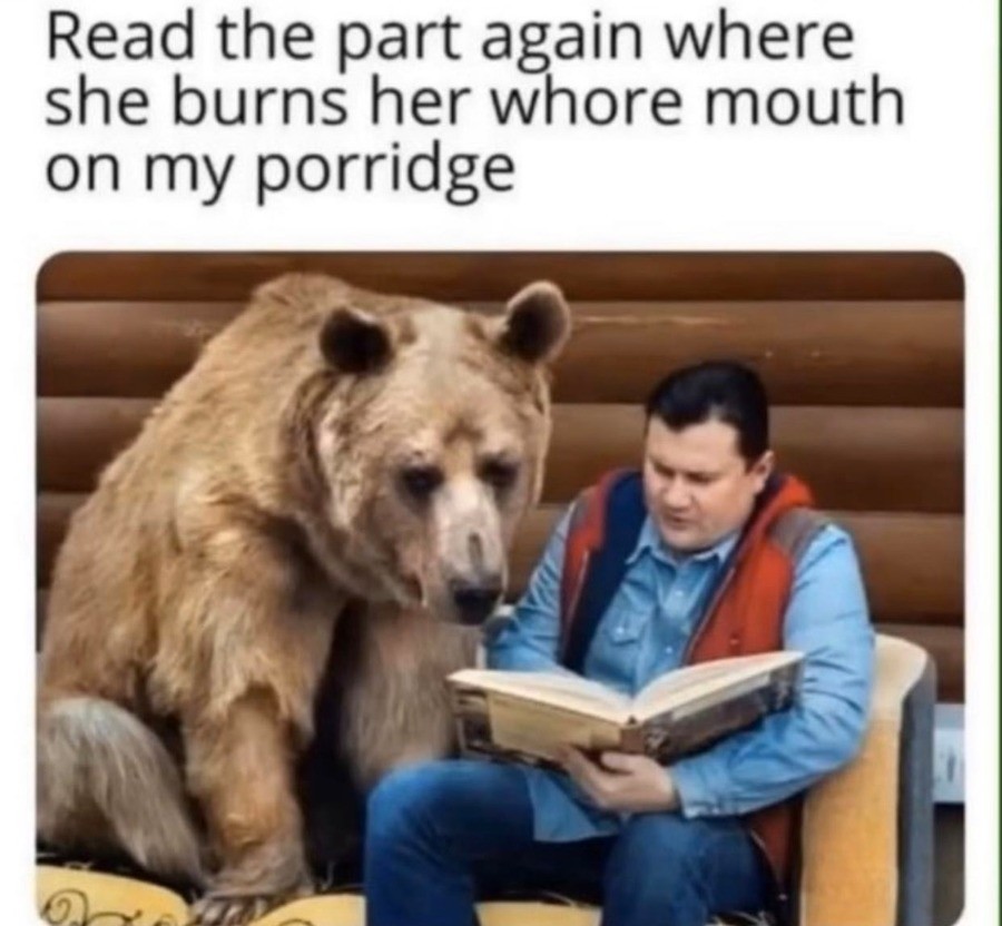 bear.jpg