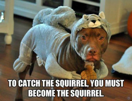 become-the-squirrel.jpg