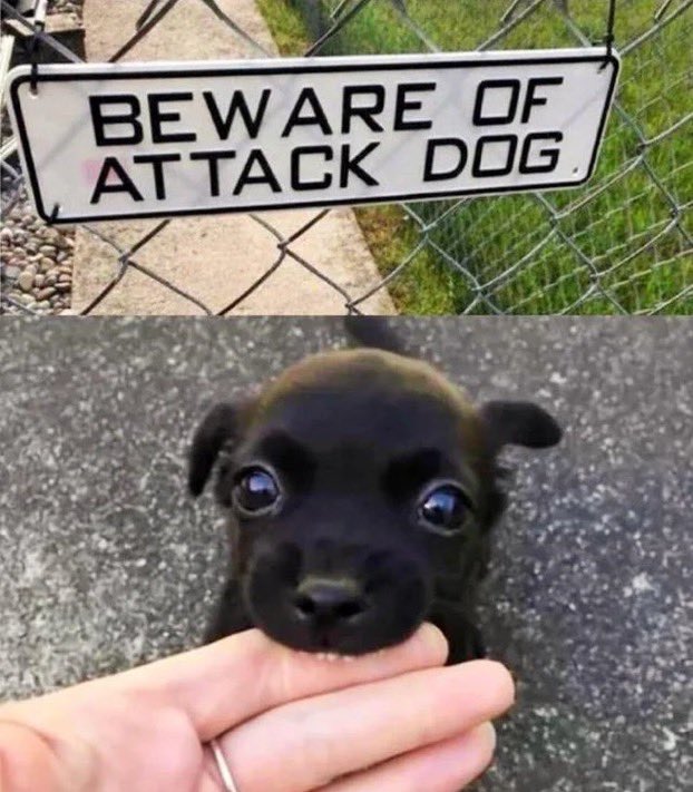 bewareofattackdog.jpg