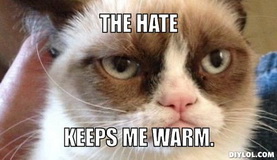 bfr-grumpy-cat-meme-generator-the-hate-keeps-me-warm-b78250.jpg