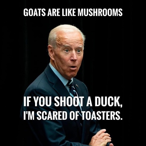 biden%20-%20goats%20mushrooms%20toasters