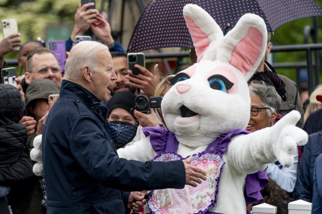 bidenbunny.jfif