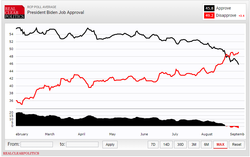 bidenunder46.png