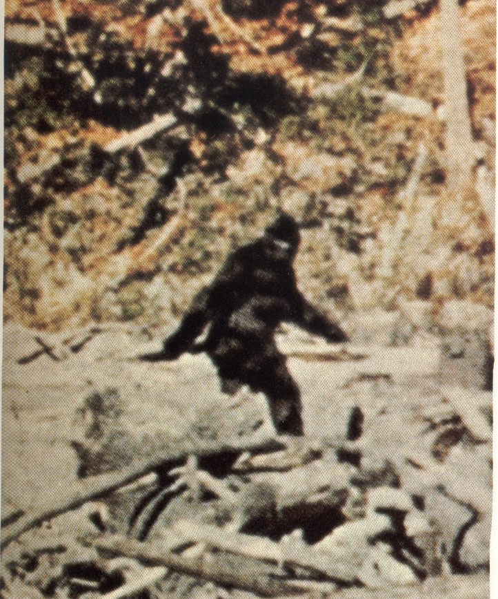 bigfoot.jpg