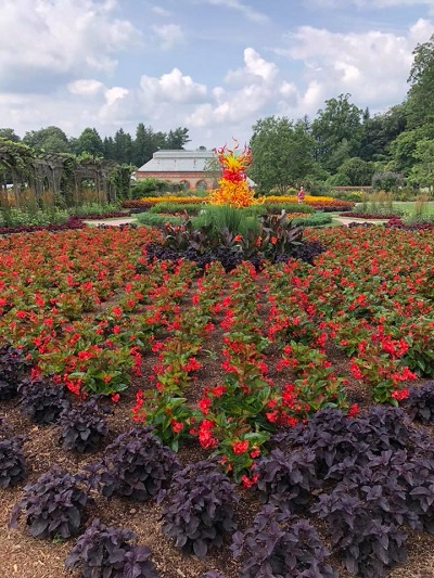 biltmorechihuly.jpg