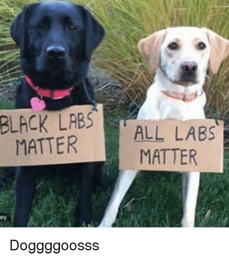 black-labs-all-labs-matter-matter-doggggoosss-3094041.png