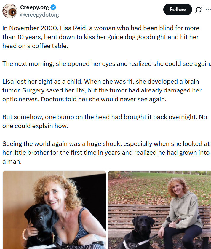 blind43.jpg