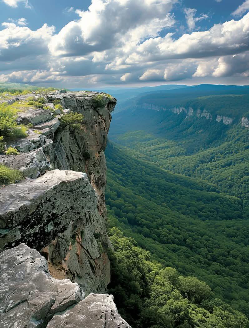 blueridgemountainsva.jpg