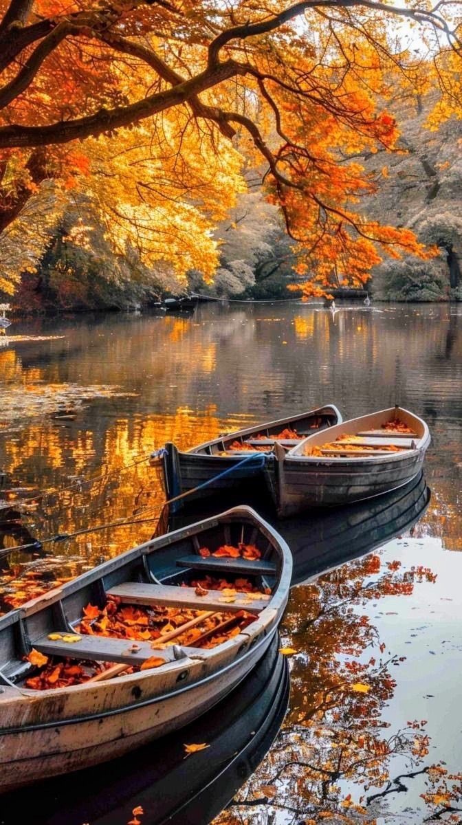 boatsinautumnallake.jpg