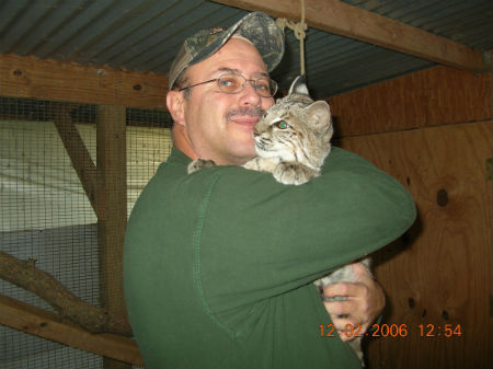 bobcat1unnamed.jpg