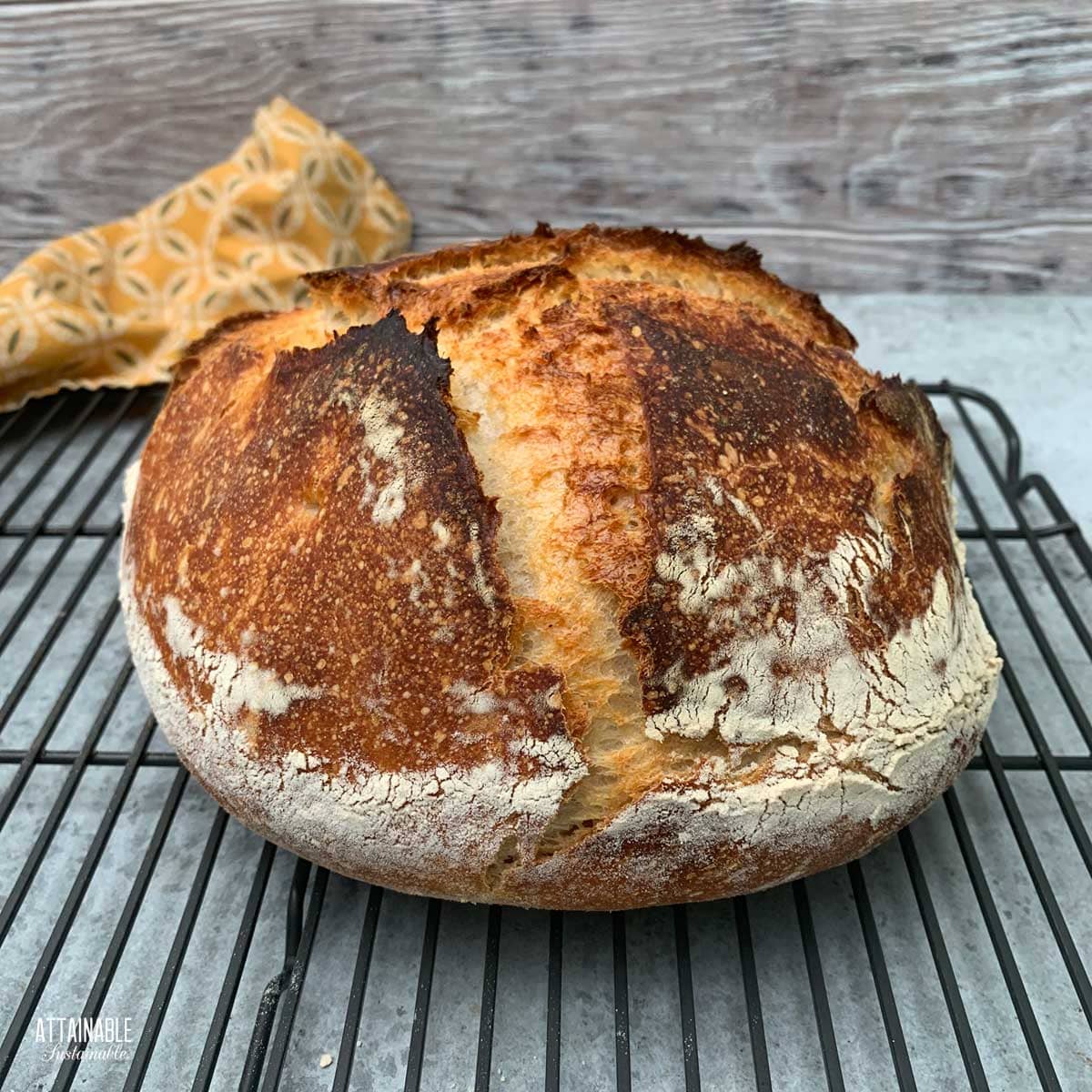 boule2026.jpg