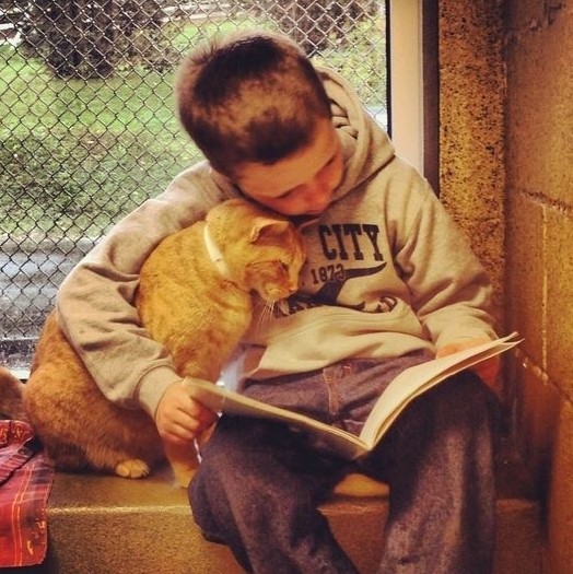 boy_and_cat.jpg