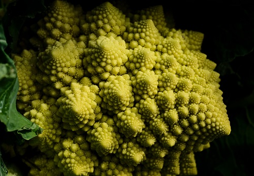 brassica-oleracea-romanesco.jpg