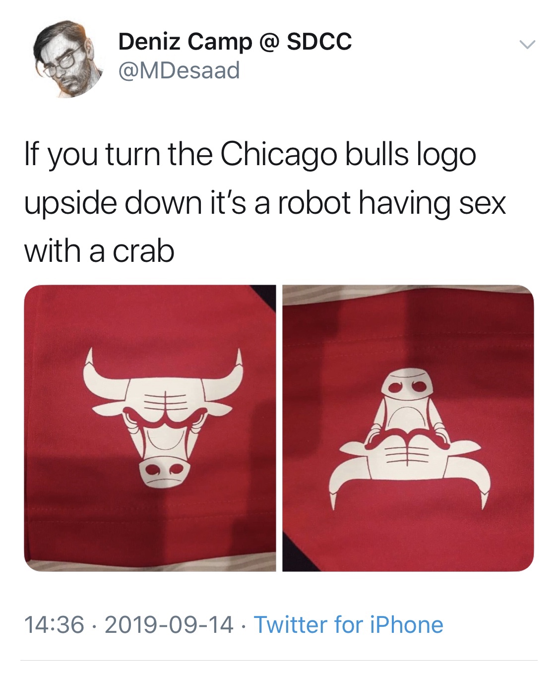 bulls.jpg