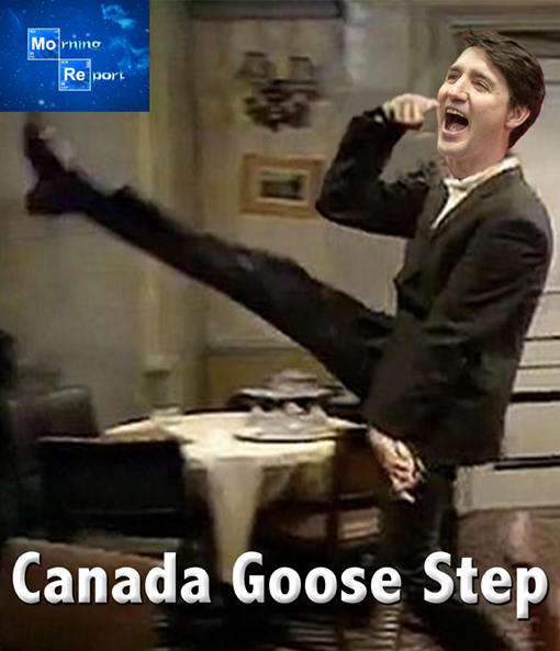 canadagoosesteptrudeau.jpg