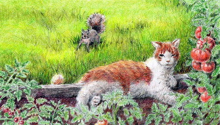 cat-squirrel-garden-illustration-web.jpg