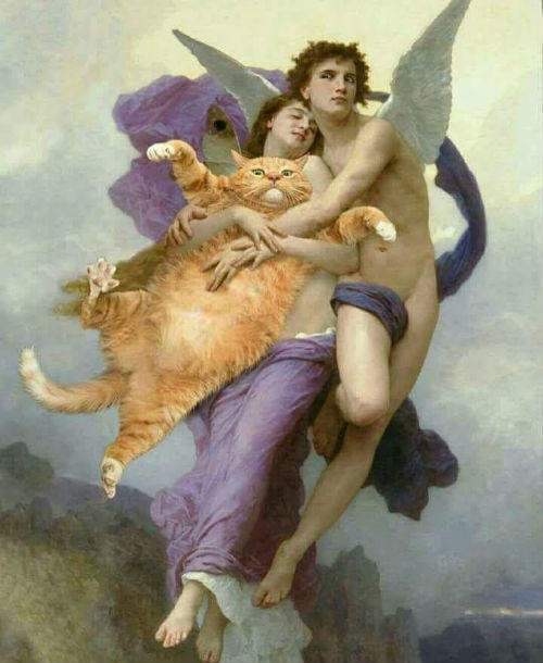 catangels.jpg