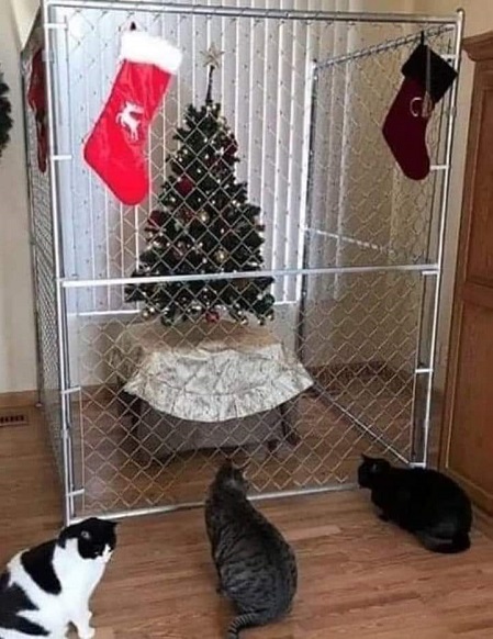 catctree2.jpeg