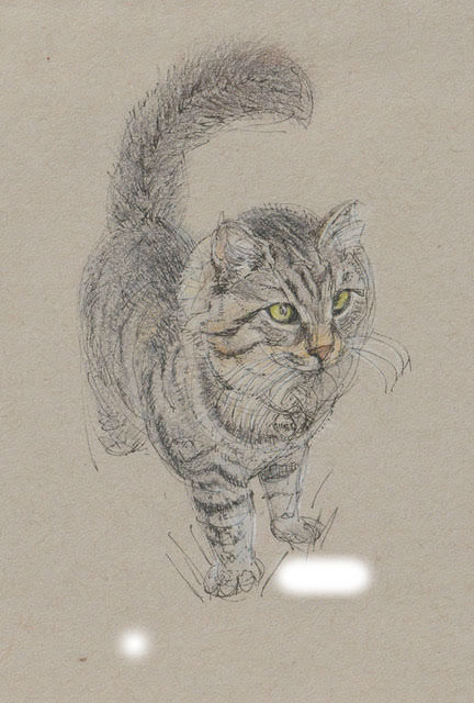 catsketch.jpg