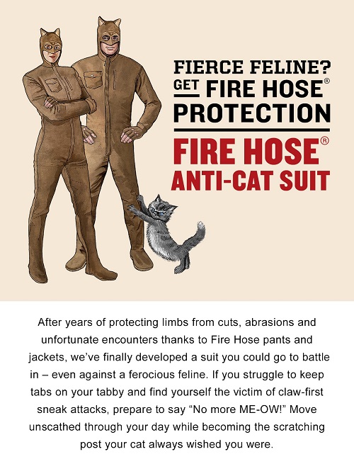 cattsuit.jpg