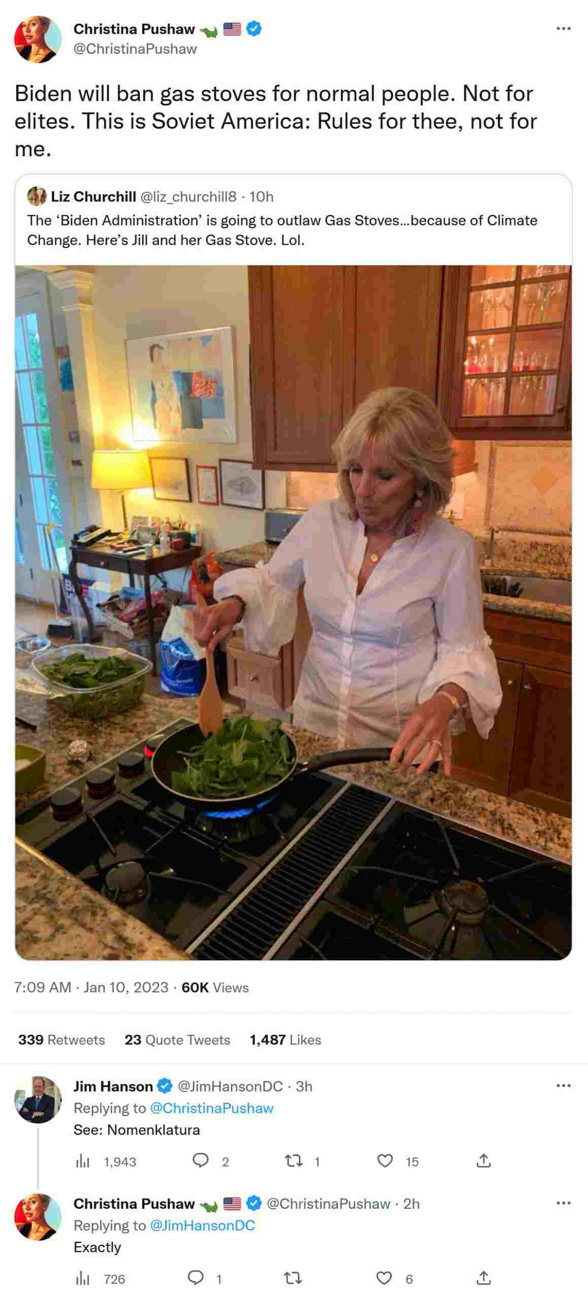 christina_pushaw_liz_churchill_jill_biden_gas_stove_01-10-2023-scaled.jpg