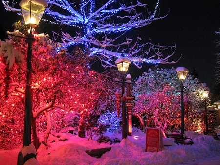 christmas-lights-snow.jpg