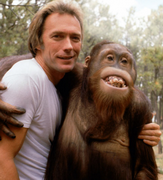 clint-with-orangutan.png