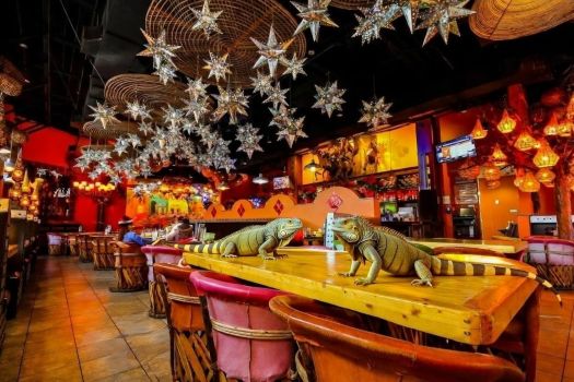 club-iguana-bar.jpg