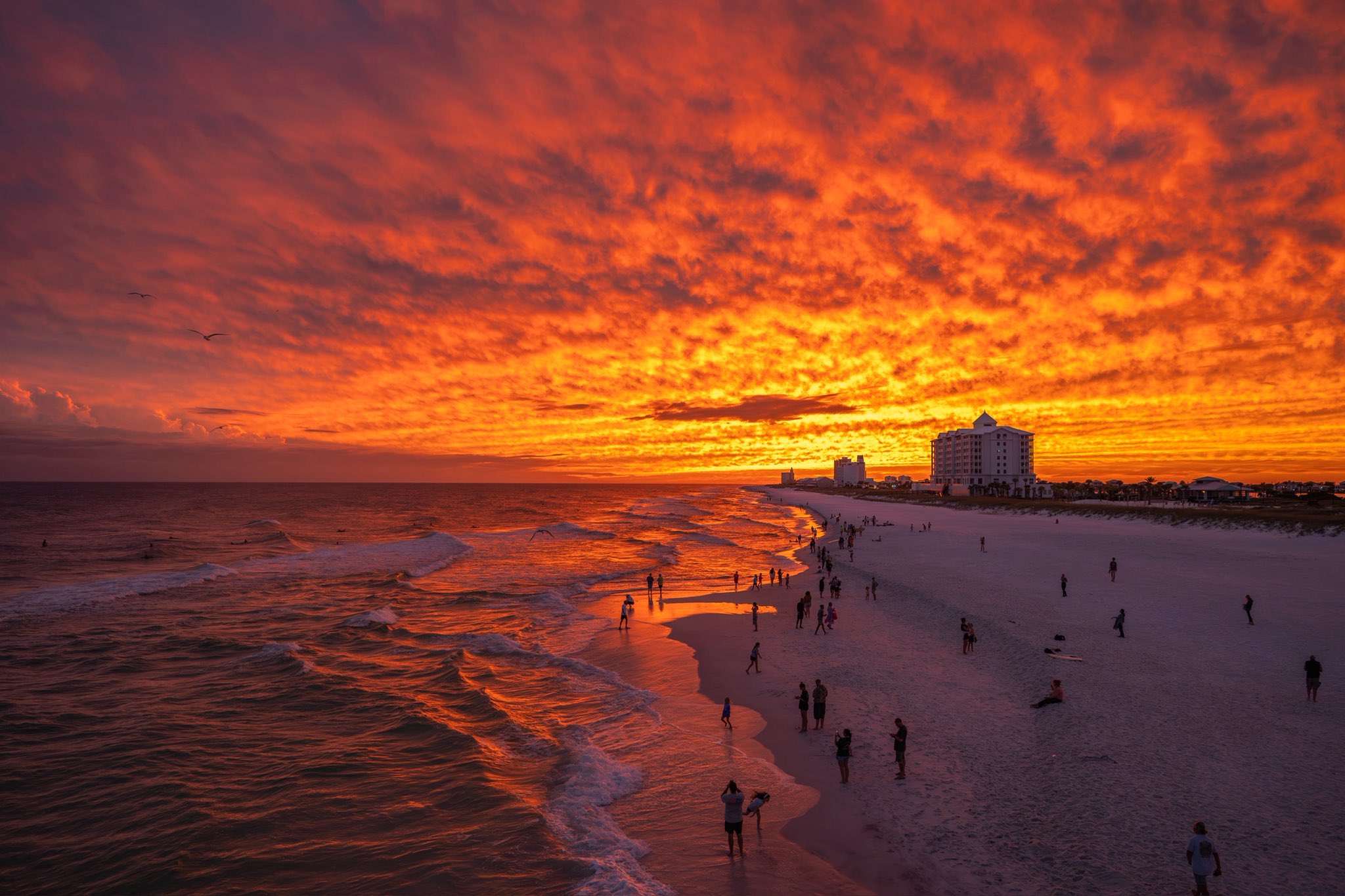 club-pensacolabeach-isaias.jpg